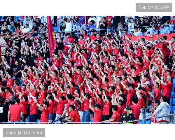 欧洲杯期间汉堡人民公园观赛活动吸引大量球迷